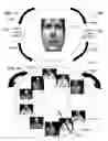 Fig. 35 - METHOD AND SYSTEM FOR QUANTITATIVE ASSESSMENT OF FACIAL EMOTION NULLING
