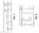 Fig. 08 - Systems and methods to identify a subgroup of ADHD at higher risk for complicating conditions