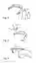 Fig. 04 - DEVICE FOR THE DETECTION OF SYMPTOMATIC JAW BEHAVIOUR