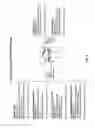 Fig. 03 - Methods for Diagnosis and Treatment of Processing Difficulties, Integration Problems, Imbalances and Abnormal Postures