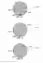 Fig. 30 - METHOD AND SYSTEM FOR QUANTITATIVE ASSESSMENT OF FUNCTIONAL IMPAIRMENT