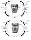 Fig. 34 - METHOD AND SYSTEM FOR QUANTITATIVE ASSESSMENT OF FUNCTIONAL IMPAIRMENT