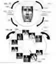 Fig. 35 - METHOD AND SYSTEM FOR QUANTITATIVE ASSESSMENT OF VISUAL FORM DISCRIMINATION
