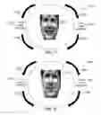 Fig. 34 - Method and system for quantitative assessment of visual motion discrimination
