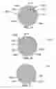 Fig. 22 - Method and system for quantitative assessment of spatial distractor tasks