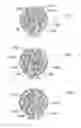 Fig. 24 - Method and system for quantitative assessment of spatial distractor tasks
