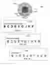 Fig. 28 - Method and system for quantitative assessment of spatial distractor tasks