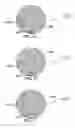 Fig. 30 - Method and system for quantitative assessment of spatial distractor tasks