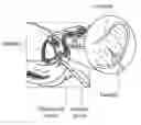 Fig. 01 - BIOPSY DEVICE WITH ACOUSTIC ELEMENT