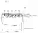 Fig. 04 - Interstitial fluid collection method and interstitial fluid collection kit and interstitial fluid collection sheet used for the method