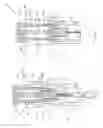 Fig. 04 - Blood sampling needle