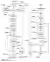 Fig. 19 - METHOD AND SYSTEM FOR QUANTITATIVE ASSESSMENT OF VISUAL MOTOR RESPONSE