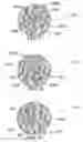 Fig. 24 - METHOD AND SYSTEM FOR QUANTITATIVE ASSESSMENT OF VISUAL MOTOR RESPONSE