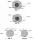 Fig. 29 - METHOD AND SYSTEM FOR QUANTITATIVE ASSESSMENT OF VISUAL MOTOR RESPONSE