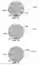 Fig. 30 - METHOD AND SYSTEM FOR QUANTITATIVE ASSESSMENT OF VISUAL MOTOR RESPONSE