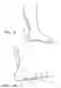 Fig. 07 - Orthosis