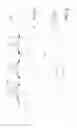 Fig. 03 - Intracranial catheter