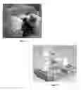 Fig. 07 - CRYO-MICRO-DERMABRASION