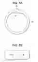 Fig. 06 - Expandable ring intervertebral fusion device