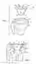 Fig. 02 - Prosthetic implant support structure