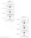 Fig. 181 - Method for controlling flow in a bodily organ