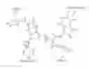 Fig. 01 - Computer aided ligand-based and receptor-based drug design utilizing molecular shape and electrostatic complementarity