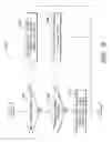 Fig. 08 - System for processing an audio signal to enhance speech intelligibility