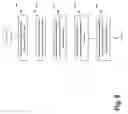 Fig. 06 - SYSTEMS AND METHODS FOR CUSTOMER LOYALTY AND ADVERTISING