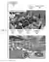 Fig. 06 - Visualization of real-time social data informatics