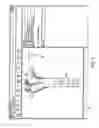 Fig. 08 - 3D scene orientation indicator system with scene orientation change capability