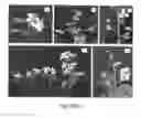 Fig. 04 - Development of very early flowering and normal fruiting plum with fertile seeds