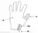 Fig. 01 - Protective Gloves