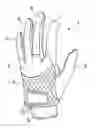 Fig. 01 - SPORT GLOVE