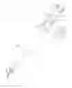 Fig. 01 - Personal hygiene brush
