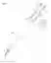 Fig. 02 - Personal hygiene brush