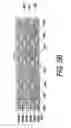 Fig. 08 - Compressive contact for high speed electrical connector