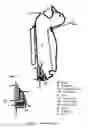 Fig. 03 - Duck Dog