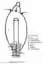 Fig. 04 - Duck Dog