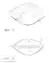 Fig. 02 - Charcoal Briquet Having A Grooved Surface
