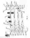 Fig. 02 - Vertical Hydroponics System