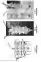 Fig. 07 - Vertical Hydroponics System