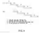 Fig. 04 - Floor construction method in machinery preceding conveyance area in building