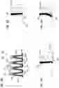 Fig. 09 - Filter arrangement and methods