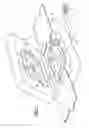 Fig. 02 - Seal for fluid forming tools