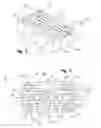 Fig. 02 - Method and template for producing a tensile test coupon
