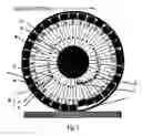 Fig. 02 - Wheel for triggering mines by pressure