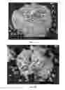 Fig. 06 - Methods and compositions using calcium carbonate