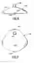 Fig. 10 - Pet fountain assembly