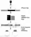 Fig. 01 - Methods of raising crustaceans in low salinity water