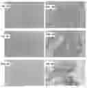 Fig. 06 - Methods of raising crustaceans in low salinity water